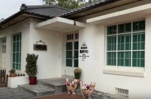 戦後の眷村文化を感じる