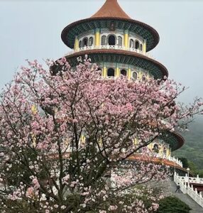 無極天元宮で桜と絶景を楽しむ