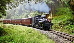 阿里山森林鉄道との連携観光
